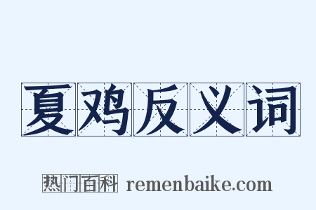 夏鸡反义词是什么意思的图片